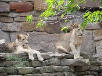 20100206 504.JPG
